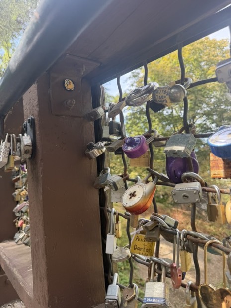 A duck tag hidden on a bridge post covered in padlocks